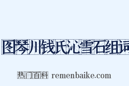 图琴川钱氏沁雪石组词是什么意思的图片